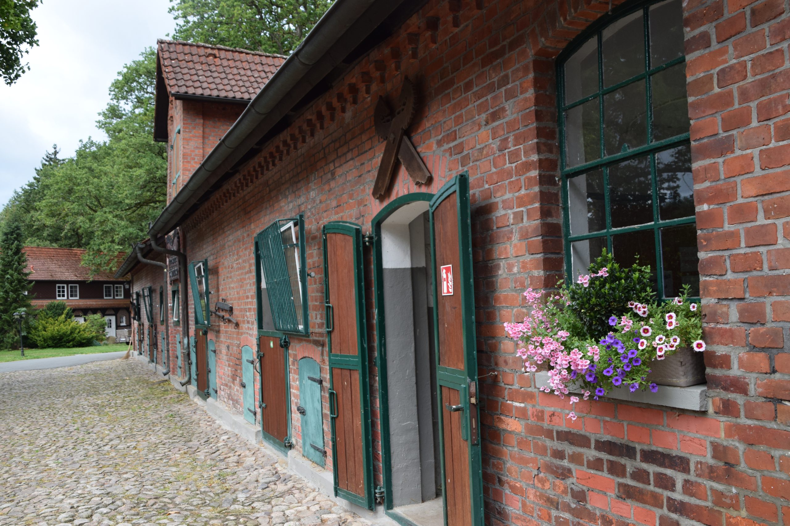 Das Statt-Weihnachten-Familientreffen in der Heide